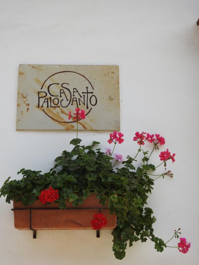Hotel Casa Palosanto ซาปาโตกา ภายนอก รูปภาพ