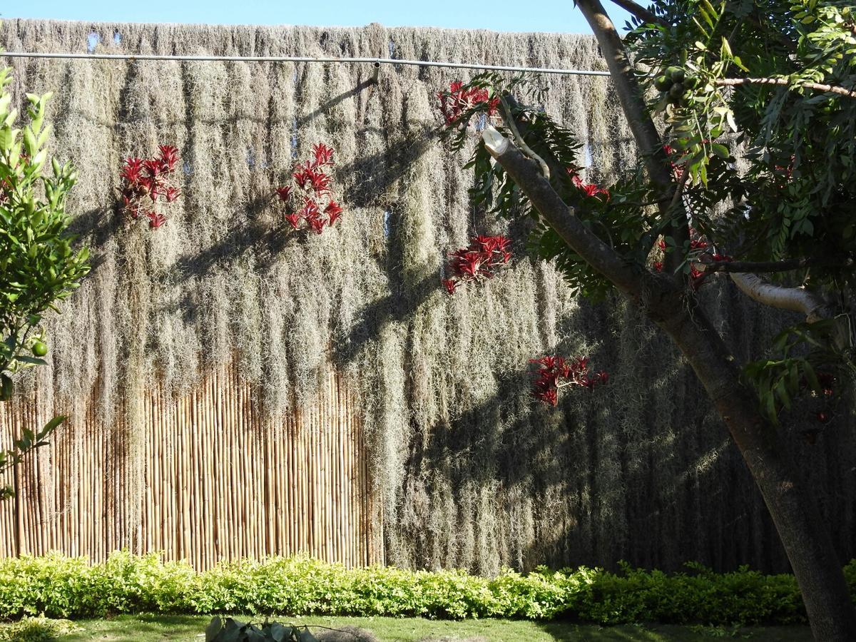 Hotel Casa Palosanto ซาปาโตกา ภายนอก รูปภาพ